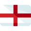 Language icon