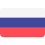 Language icon
