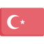 Language icon